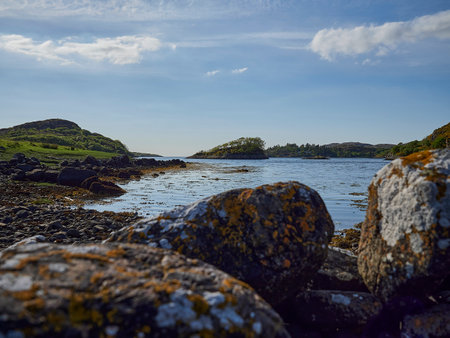 landscape of the northern highlands in Scotland along a small river with lush and green vegetation.の写真素材