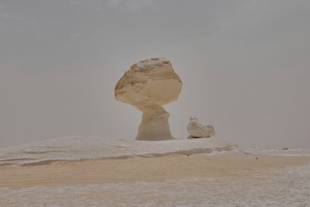 vast landscape of the dry and arid region of the white desert in Egypt with bizarre rock formations caused by wind erosion.の写真素材