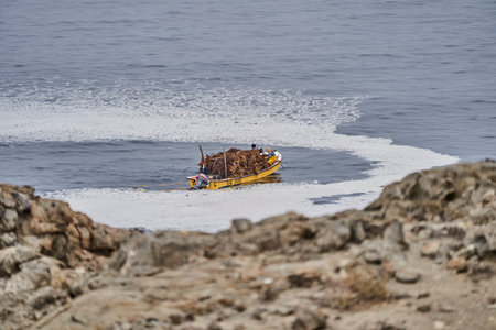 Pan de Azucar, Chile - 01 21 2019: Fishermen harvesting kelp or sea weed in small traditional wooden fishing boats along the coastline of the pacific ocean in Chile, South America.のeditorial素材