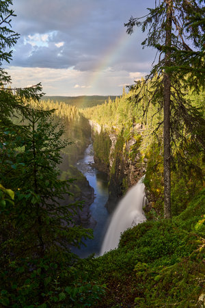 Hallingsafallet waterfall in Sweden, along the popular tourist route Vildmarksvagen, wilderness road through the dense forest of Scandinavia.の写真素材