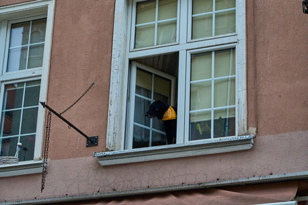 cute black dog looking out of a window in the historic old town in the center of Gdansk, Danzig in Poland with ancient buildings.の写真素材