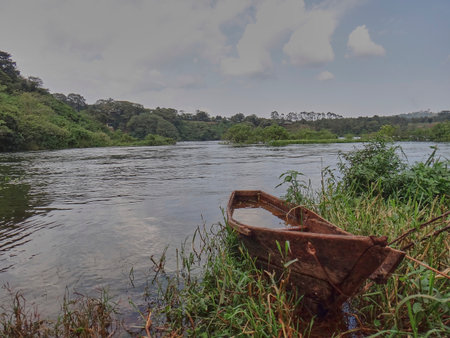 old rotten canoe lying in the dense green grass along the banks of the river Nile near Jinja falls at the source of the Nile from lake Victoria.の写真素材