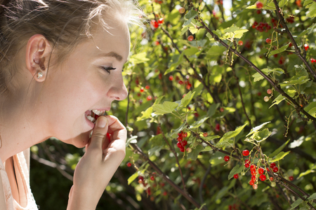 A young woman is eating fresh berries in a gardenの写真素材