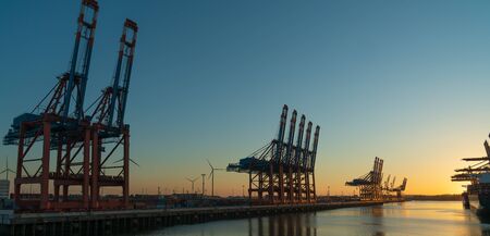 Many cranes in the hamburg harbour in the sunsetの写真素材