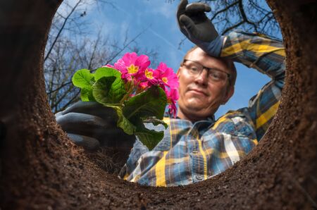 A man digs a plant in the garden - a perspective shot from belowの写真素材