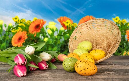 easter eggs on a twooden table with basket tulips and a flower backgroundの写真素材