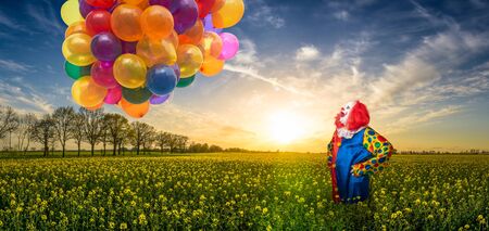 a clown with many colorful balloons on a meadowの写真素材