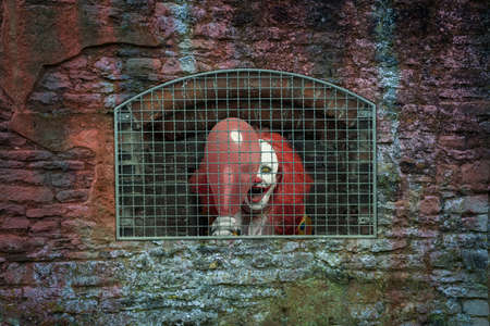 a scary clown with a red balloon caged behind a latticeの写真素材