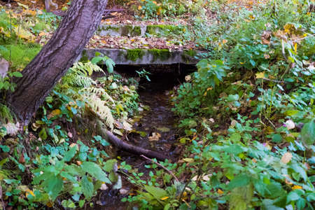 A stream flowing out from under a slab in the Park against a background of green grass and yellow foliageの写真素材