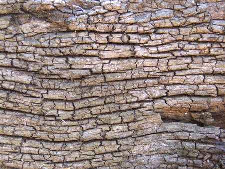 Gin Gin Australia Ironbark wood 100 years old cut plankの写真素材