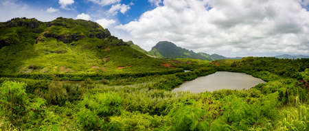 Panorama of Menehune fishpond, aka Alekoko Fishpond, historic Hawaii, Lihue, Kauai, Hawaii, USAの写真素材