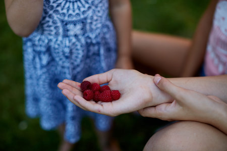 Malina.の写真素材