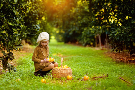 Side view of a little girl in a dress and a headdress on a green meadow with a basket of fruit in a green sunny gardenの写真素材