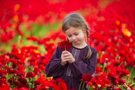 cute young girl with a flower in her hand against the background of red flowersの写真素材