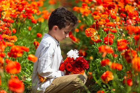 boy enjoys flowers in a flower greenhouseの写真素材