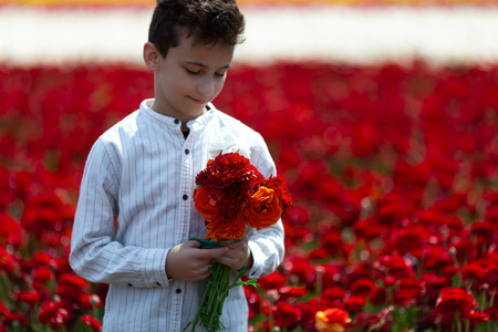 Teenager boy gathering a bouquet of flowers in the meadow on a sunny weather day for his motherの写真素材