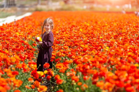 Child picking wild flowers in field. Kids play in a meadow and pick flower bouquet for motherの写真素材
