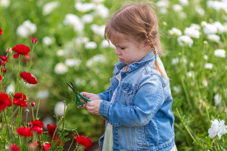 Pretty young girl holding scissors and smiling in field of buttercup flowers.
