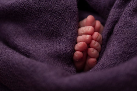 Adding together the feet of a newborn baby wrapped in a purple towel. selective focus