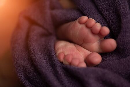 feet of a newborn baby on a purple background. selective focus.の写真素材