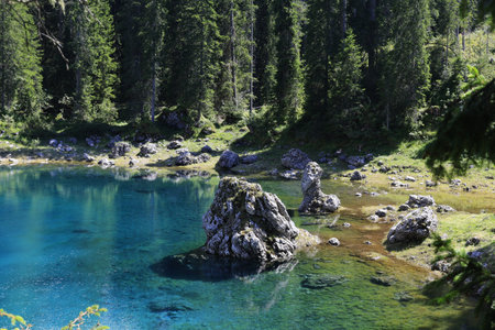A Serene and Tranquil Blue Lake Nestled and Surrounded by a Lush Green Forest Landscape. Carezza...