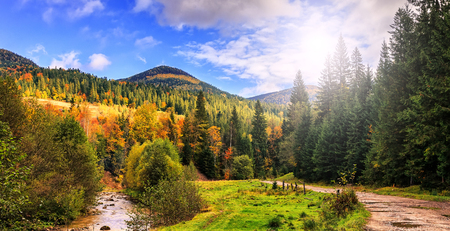 autumn  landscape. mountain river with perfect sky on the background in the sunlight. artistic creative image. soft light effectの写真素材