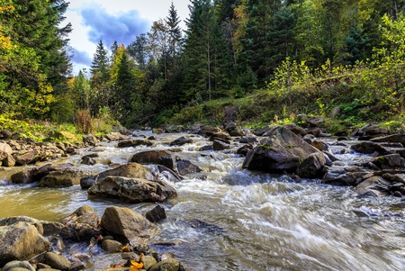 Mountain river in the autumn forest at sunny day. wonderful autumn view.の写真素材