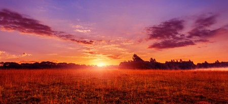 wonderful summer scenery.colorful sunrise over the lake and agriculture fields. unusual misty morning. dramatic scene. picturesque foggy nature landscape. creative image. の写真素材