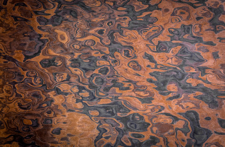 wood texture. decorative veneer. walnut root. use as  backgroundの写真素材