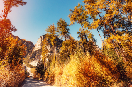 Majestic Autumn Landscape in Alps. idyllic mountain scenery in the Alpine. beautiful sunny day, National Park Berchtesgadener Land, Bavaria, Germany. Beautiful natural backgroundの写真素材