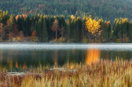 Womderful Autumn landscape. Road on meadow with grass on top view. Fairy Alpine lake Geroldsee with morning fog under sunlit. Dramatic Impressive scene. Amazing nature background.の写真素材
