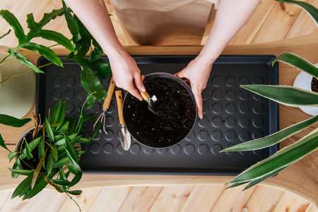 Top view of female hands holding bowl whith soil and trowel