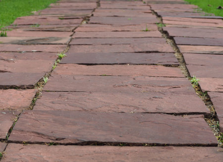 beautiful brick walkway background.