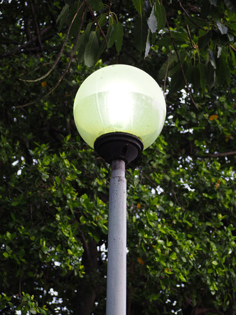 Perfect lamp electickcity with tree blur background.の写真素材