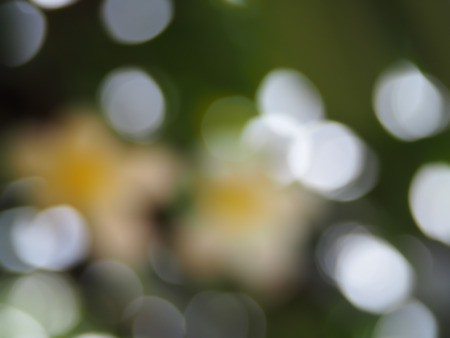 Beautiful blur bokeh lights defocused abstract background.の写真素材