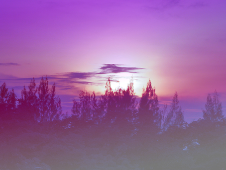 Beautiful vintage light of sunset with silhouette tree in evening time.の写真素材