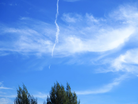 Fantastic soft white clouds against blue sky with trees abstract background.の写真素材
