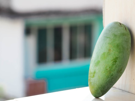 Focus Green Mango fruit with blur background.の写真素材