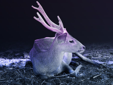 focus lovely deer that happy living with vintage background.の写真素材