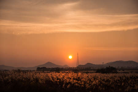 sunset at the noonの写真素材