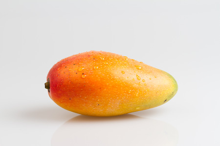 Mangoの写真素材