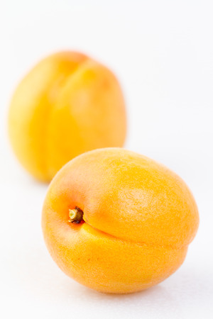 Sun apricotの写真素材