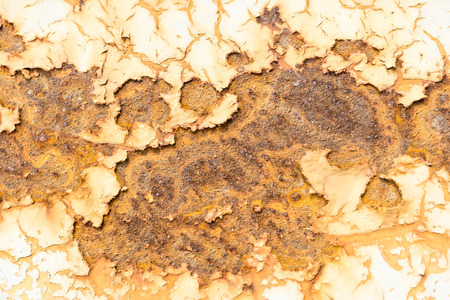 Closeup of wallの写真素材