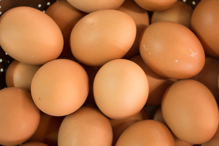 Eggs view from topの写真素材