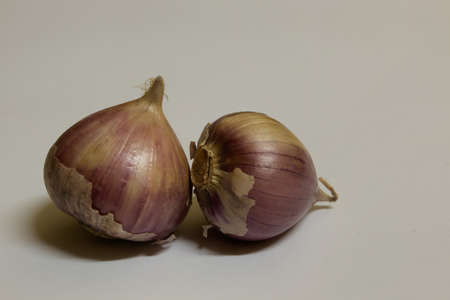 two garlics on the gray backgroundの写真素材