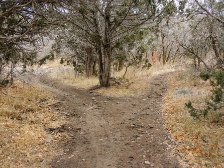 Late Fall panorama forest views hiking, biking, horseback trails through trees on the Yellow Fork and Rose Canyon Trails in Oquirrh Mountains on the Wasatch Front in Salt Lake County Utah USA.の写真素材