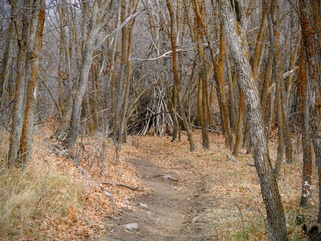 Late Fall panorama forest views hiking, biking, horseback trails through trees on the Yellow Fork and Rose Canyon Trails in Oquirrh Mountains on the Wasatch Front in Salt Lake County Utah USA.の写真素材
