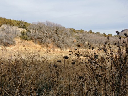 Late Fall panorama forest views hiking, biking, horseback trails through trees on the Yellow Fork and Rose Canyon Trails in Oquirrh Mountains on the Wasatch Front in Salt Lake County Utah USA.の写真素材