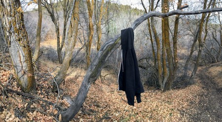 Black Hoodie sweater hanging from tree in late Fall panorama forest trail on the Yellow Fork and Rose Canyon Trails in Oquirrh Mountains on the Wasatch Front in Salt Lake County Utah USA.の写真素材