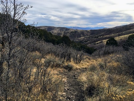 Late Fall panorama forest views hiking, biking, horseback trails through trees on the Yellow Fork and Rose Canyon Trails in Oquirrh Mountains on the Wasatch Front in Salt Lake County Utah USA.の写真素材